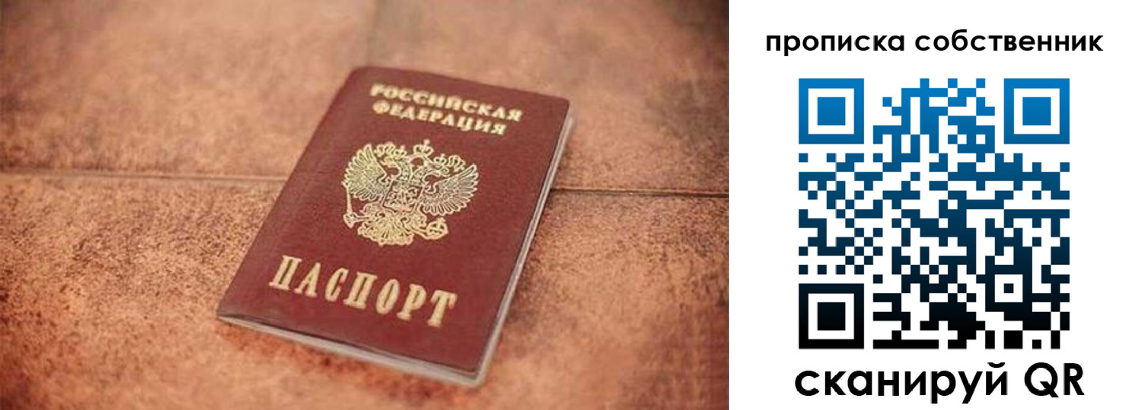 где прописаться в Сафоново
